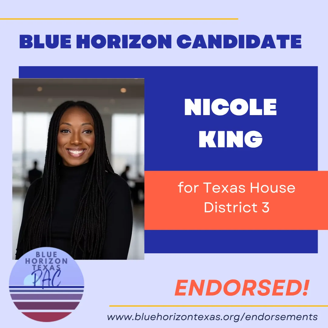 Blue Horizon Texas graphic reading Blue Horizon Candidate for Texas House District 3, endorsed.